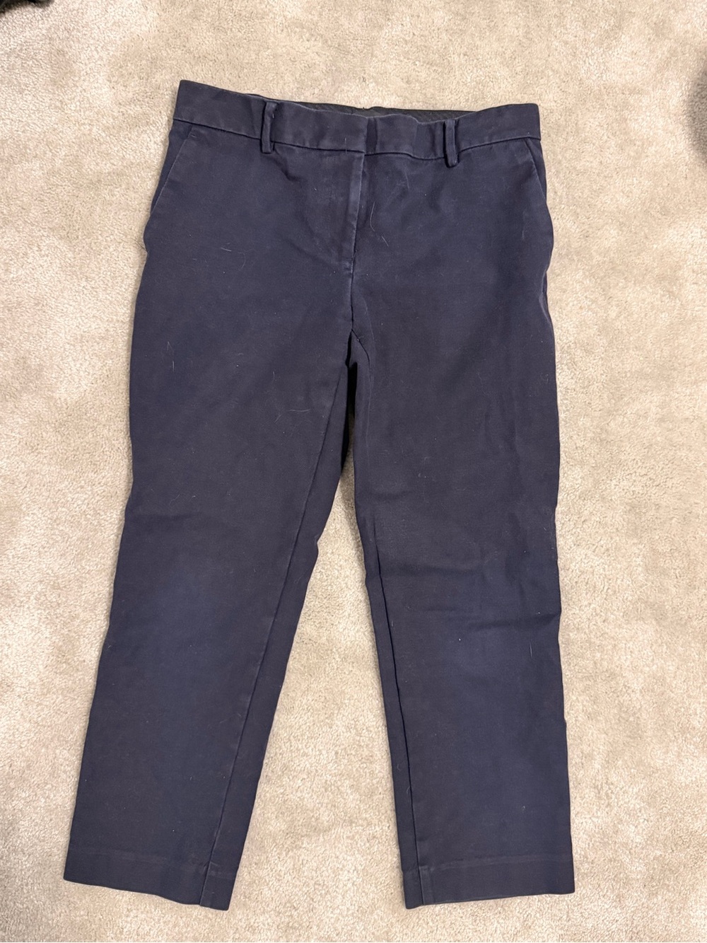Ann Taylor ankle pants